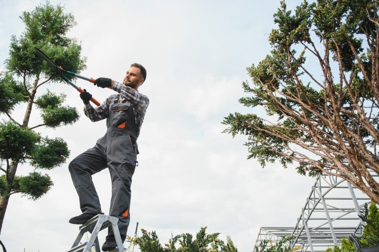 Arborist trimming branches during professional tree services.