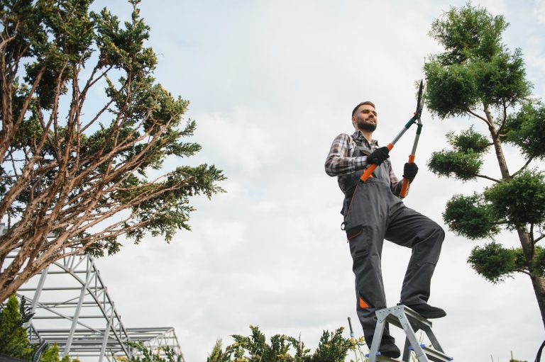 A professional arborist providing residential tree service by trimming the trees