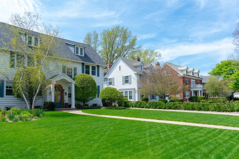 A residential front yard maintained with professional residential tree service, enhancing curb appeal.