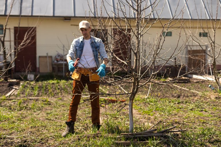 Man performing tree pruning in a backyard garden.
