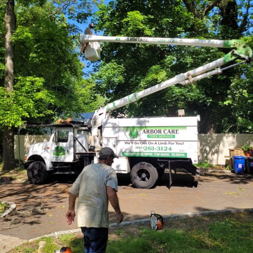 arbor care tree services truck doing some woodcutting work