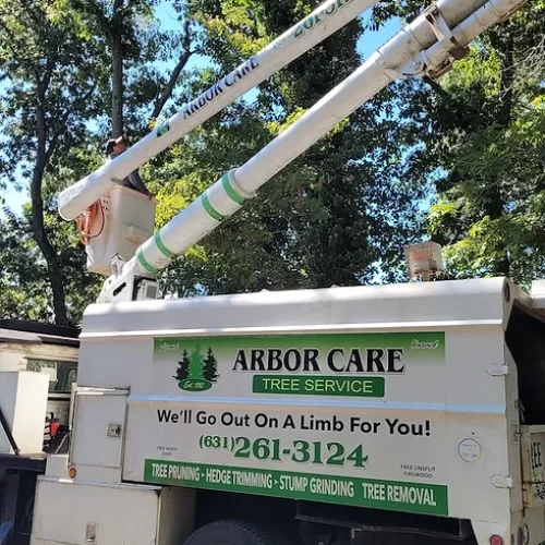 arbor care tree services truck