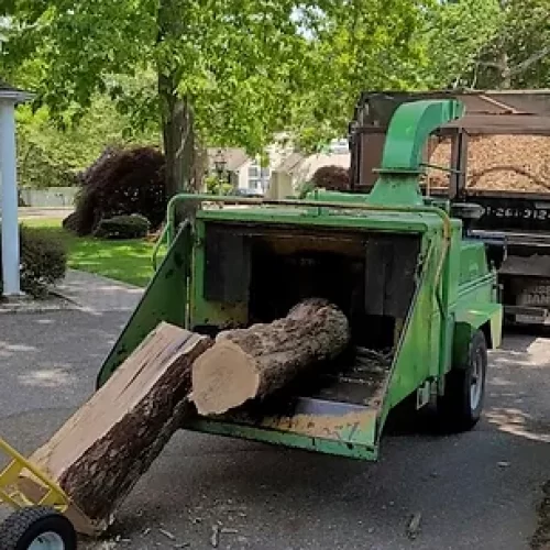 a tree grinding truck